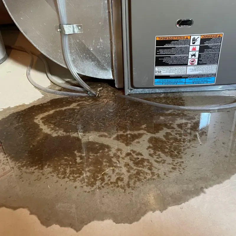 Pipe Burst and Leak Restoration in Rising Sun, MD